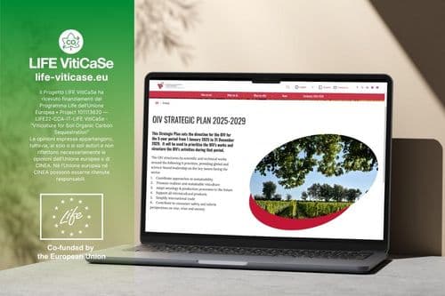 OIV Strategic Plan 2025–2029: New Priorities for the Future of Viticulture