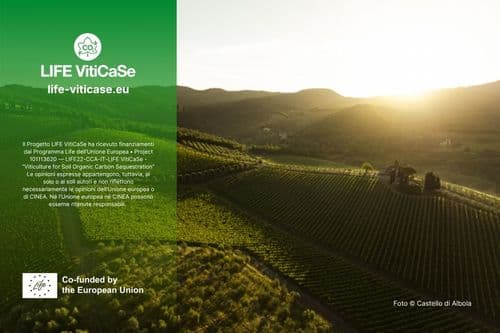 Castello di Albola Features LIFE VitiCaSe in its 2024 Sustainability Report