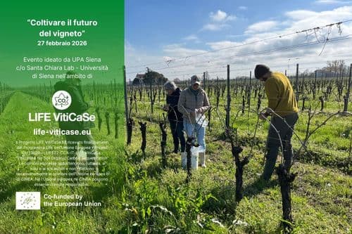 Cultivating the future of the vineyard: the LIFE VitiCaSe event in Siena on February 27th