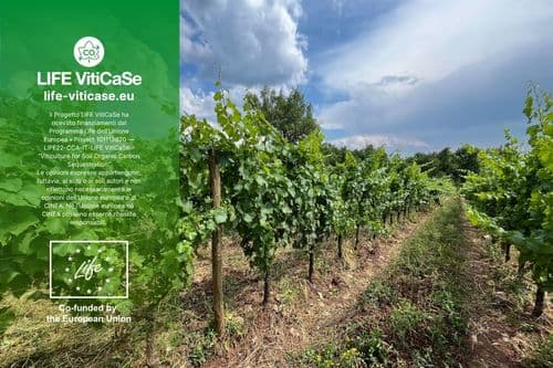 Summer field visits to the farms involved in the VitiCaSe project